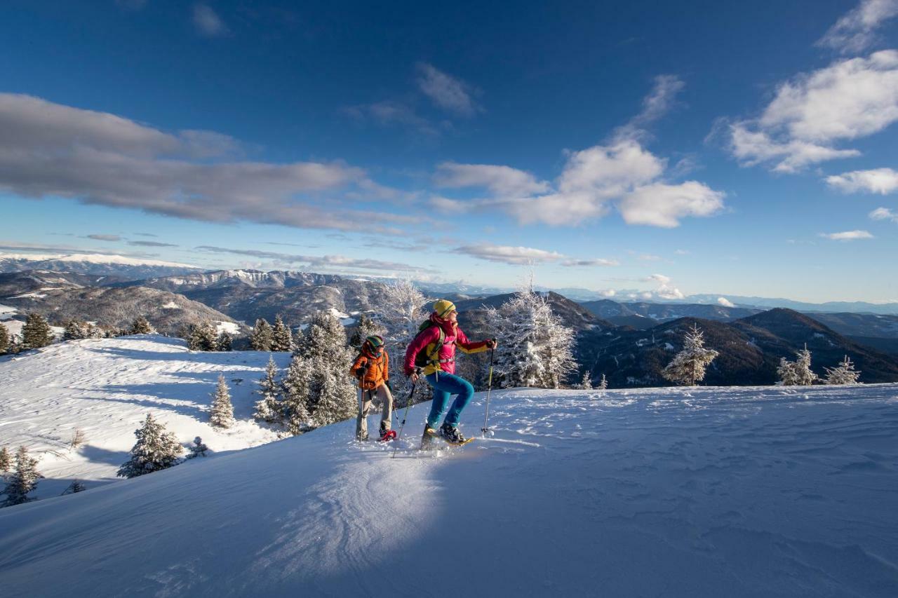 Luxury Chalet Kreischberg 11A ザンクト・ローレンツェン・オプ・ムーラウ エクステリア 写真